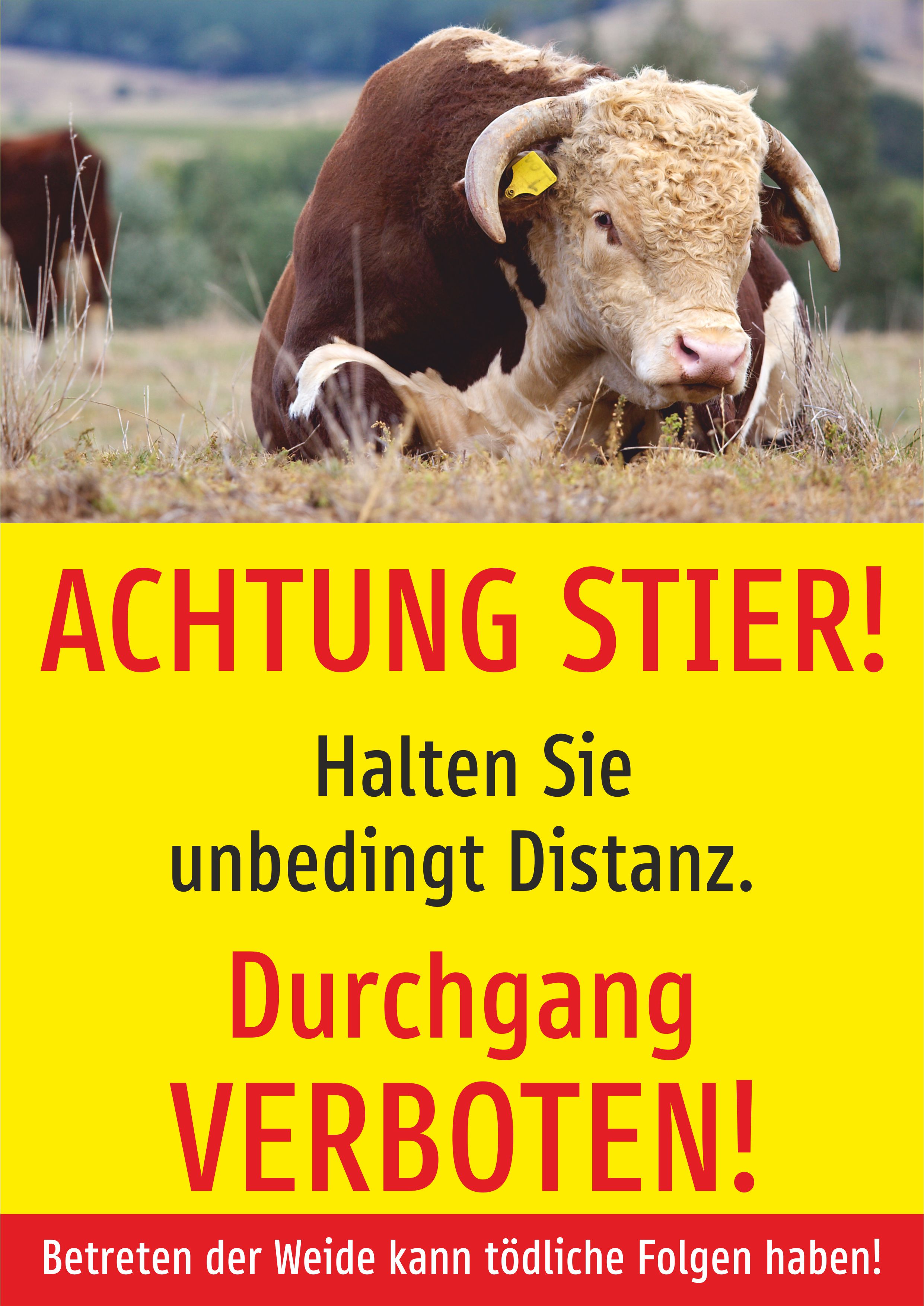 Achtung Stier! Durchgang verboten! - Schild