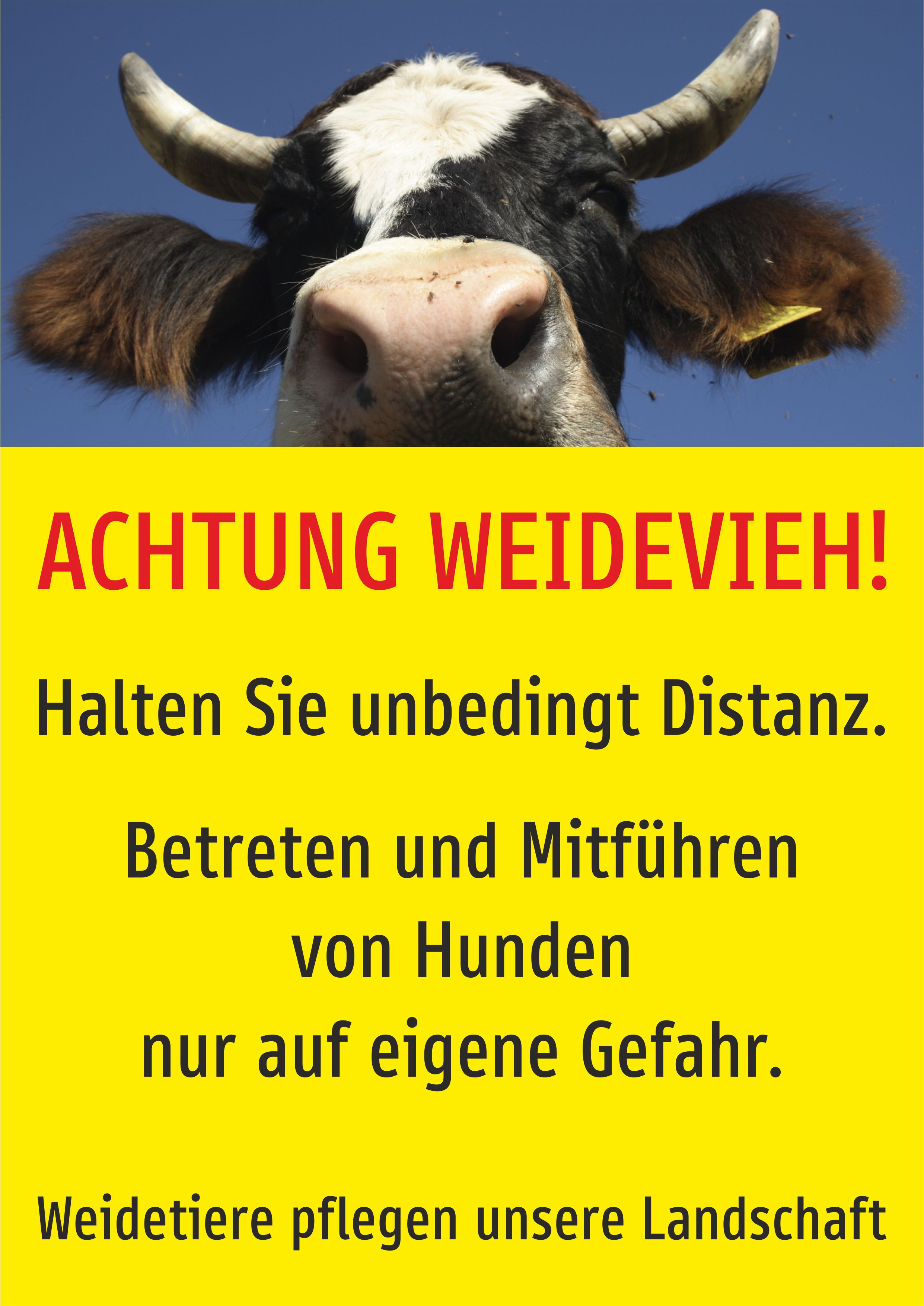 Achtung Weidevieh - ohne Muttertiere - Schild