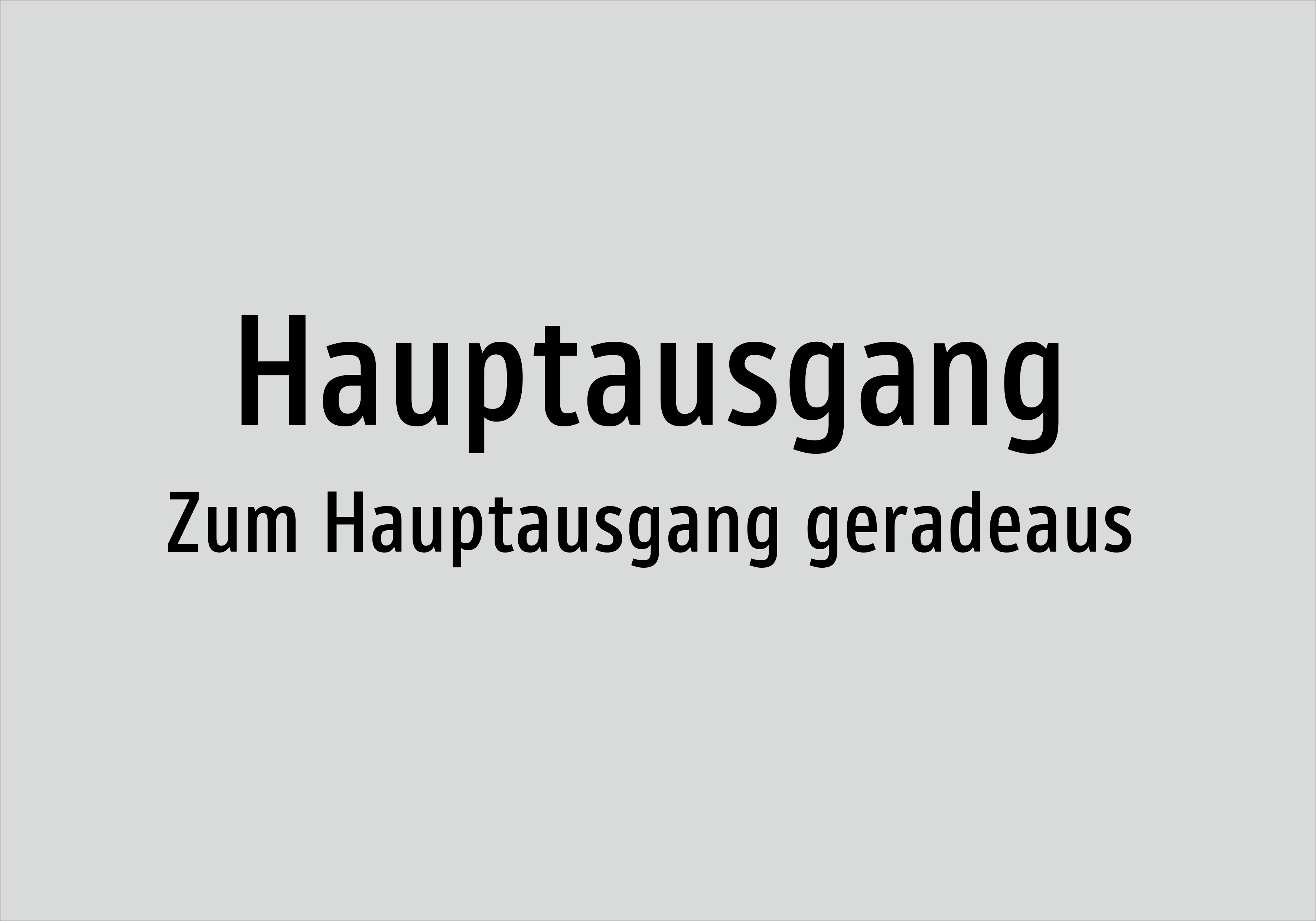 Hauptausgang - Zum Hauptausgang geradeaus - Schild - Produktbild 2