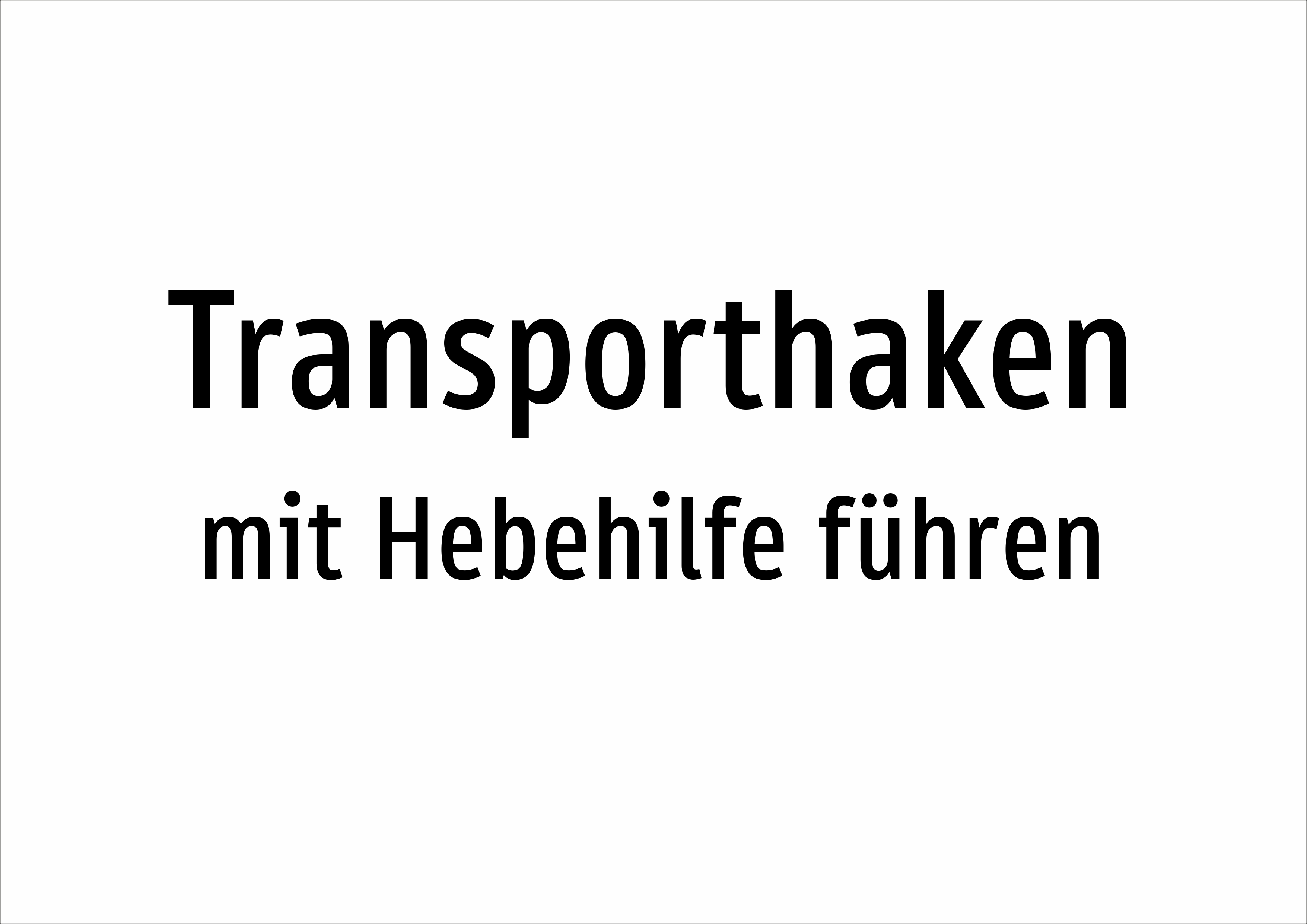 Transporthaken - mit Hebehilfe führen - Schild - Produktbild 2