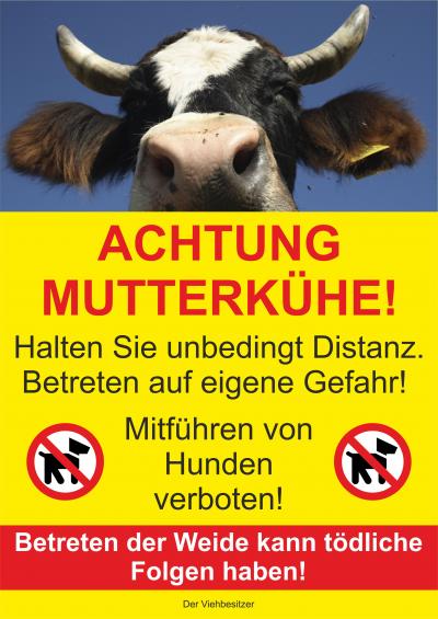  Achtung Mutterkühe!
