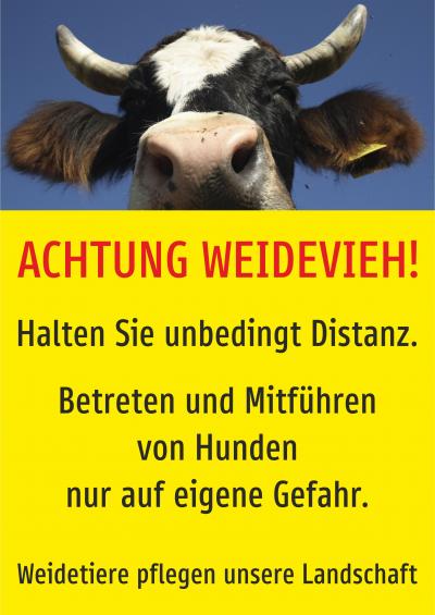  Achtung Weidevieh - ohne Muttertiere