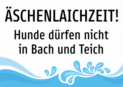 Äschenlaichzeit! Hunde dürfen nicht in Bach und Teich