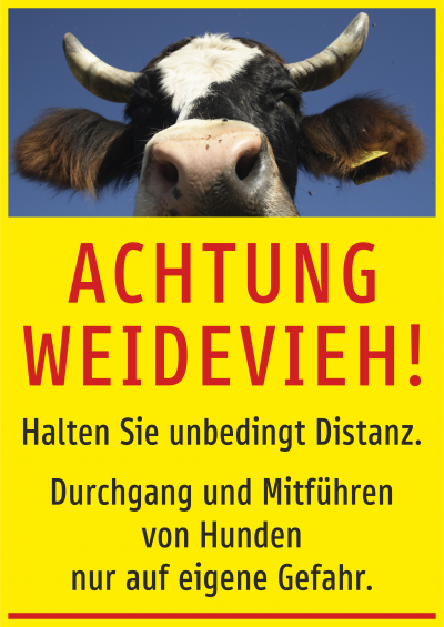 Achtung Weidevieh! Durchgang und Mitführen von Hunden auf eigene Gefahr!