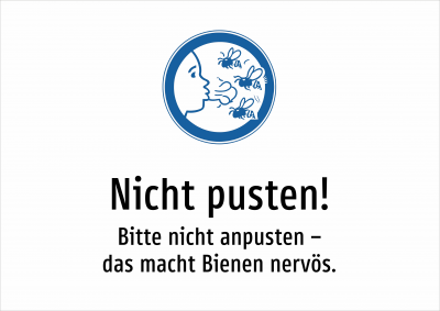 Nicht pusten! - Bitte nicht anpusten – das macht Bienen nervös.