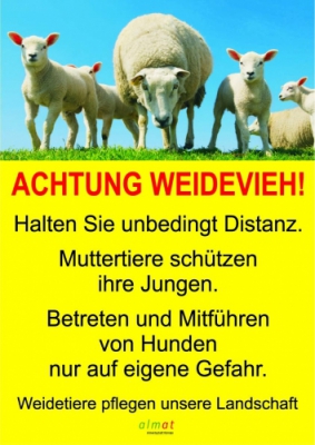  Achtung Weidevieh - Schaf