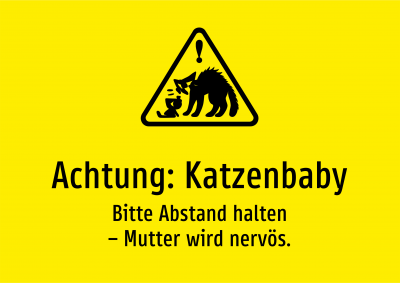 Achtung: Katzenbaby - Bitte Abstand halten – Mutter wird nervös.