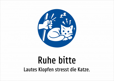Ruhe bitte - Lautes Klopfen stresst die Katze.