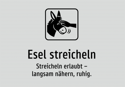 Esel streicheln - Streicheln erlaubt – langsam nähern, ruhig.