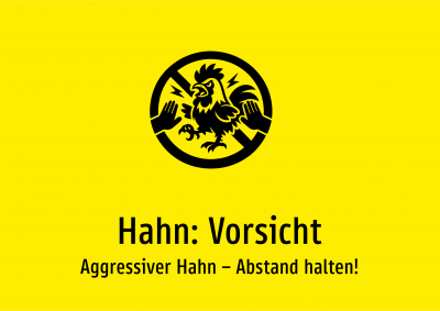 Hahn: Vorsicht - Aggressiver Hahn – Abstand halten!