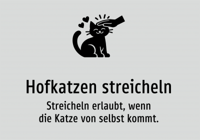 Hofkatzen streicheln - Streicheln erlaubt, wenn die Katze von selbst kommt.