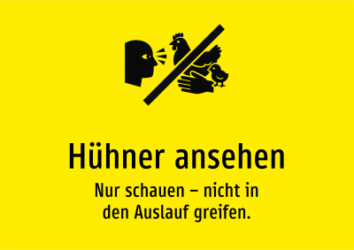 Hühner ansehen - Nur schauen – nicht in den Auslauf greifen.