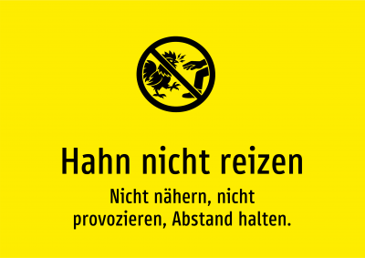 Hahn nicht reizen - Nicht nähern, nicht provozieren, Abstand halten.