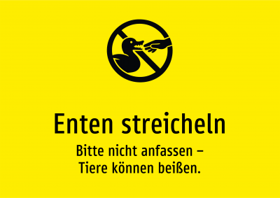 Enten streicheln - Bitte nicht anfassen – Tiere können beißen.