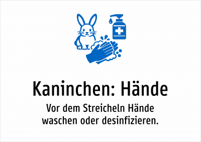 Kaninchen: Hände - Vor dem Streicheln Hände waschen oder desinfizieren.