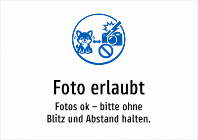 Foto erlaubt - Fotos ok – bitte ohne Blitz und Abstand halten.