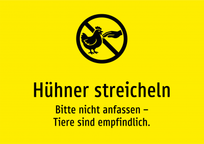 Hühner streicheln - Bitte nicht anfassen – Tiere sind empfindlich.