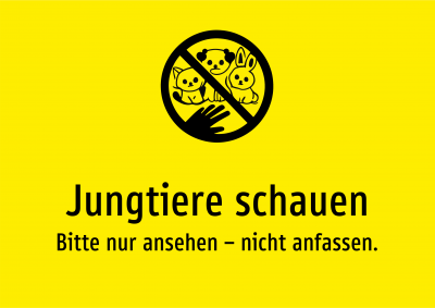 Jungtiere schauen - Bitte nur ansehen – nicht anfassen.