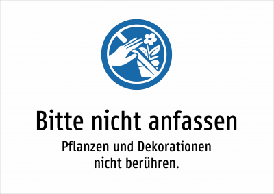 Bitte nicht anfassen - Pflanzen und Dekorationen nicht berühren.