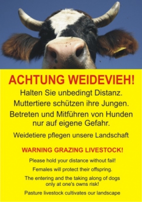 Achtung Weidevieh!