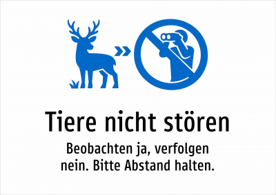 Tiere nicht stören - Beobachten ja, verfolgen nein. Bitte Abstand halten.