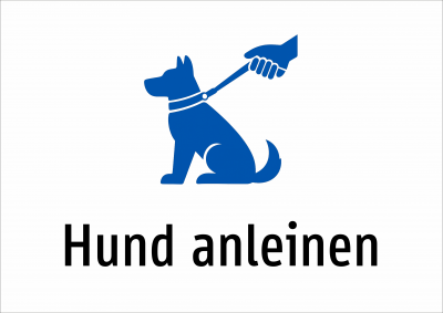 Hund anleinen