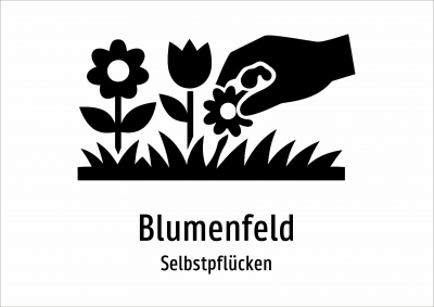 Blumenfeld - Selbstpflücken