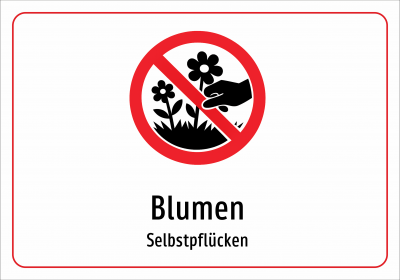 Blumen - Selbstpflücken