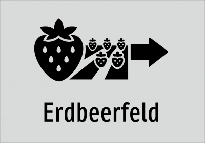 Erdbeerfeld