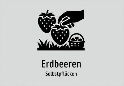 Erdbeeren - Selbstpflücken