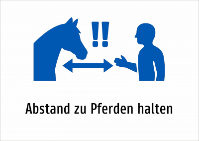 Abstand zu Pferden  halten