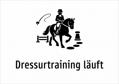 Dressurtraining läuft