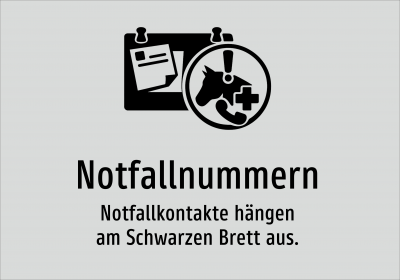 Notfallnummern - Notfallkontakte hängen am Schwarzen Brett aus.