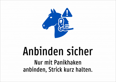 Anbinden sicher - Nur mit Panikhaken anbinden, Strick kurz halten.