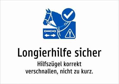 Longierhilfe sicher - Hilfszügel korrekt verschnallen, nicht zu kurz.
