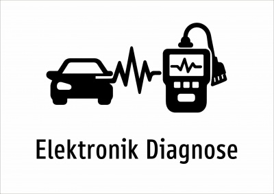 Elektronik Diagnose