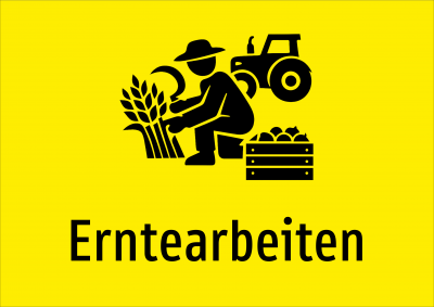 Erntearbeiten