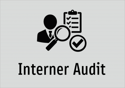 Interner Audit