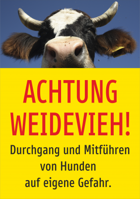 achtung weidevieh durchgang u mitführen von hunden auf eigene gefahr