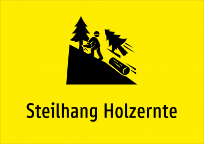 Steilhang Holzernte