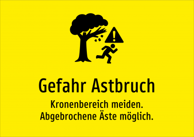 Gefahr Astbruch - Kronenbereich meiden. Abgebrochene Äste möglich.