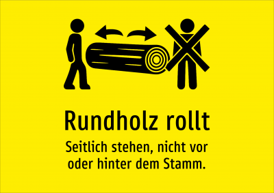 Rundholz rollt - Seitlich stehen, nicht vor oder hinter dem Stamm.