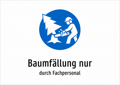 Baumfällung nur - durch Fachpersonal