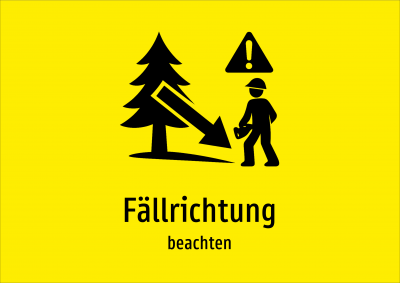 Fällrichtung - beachten