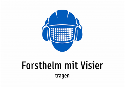 Forsthelm mit Visier - tragen