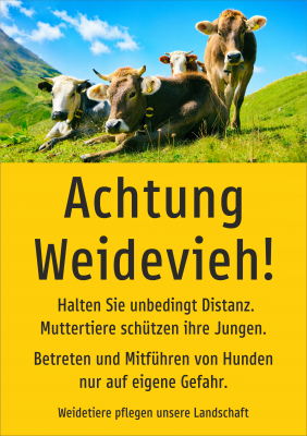 Achtung Weidevieh