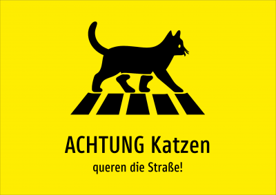 ACHTUNG Katzen - queren die Straße!
