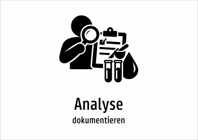 Analyse - dokumentieren