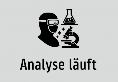 Analyse läuft