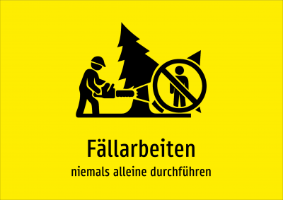 Fällarbeiten - niemals alleine durchführen